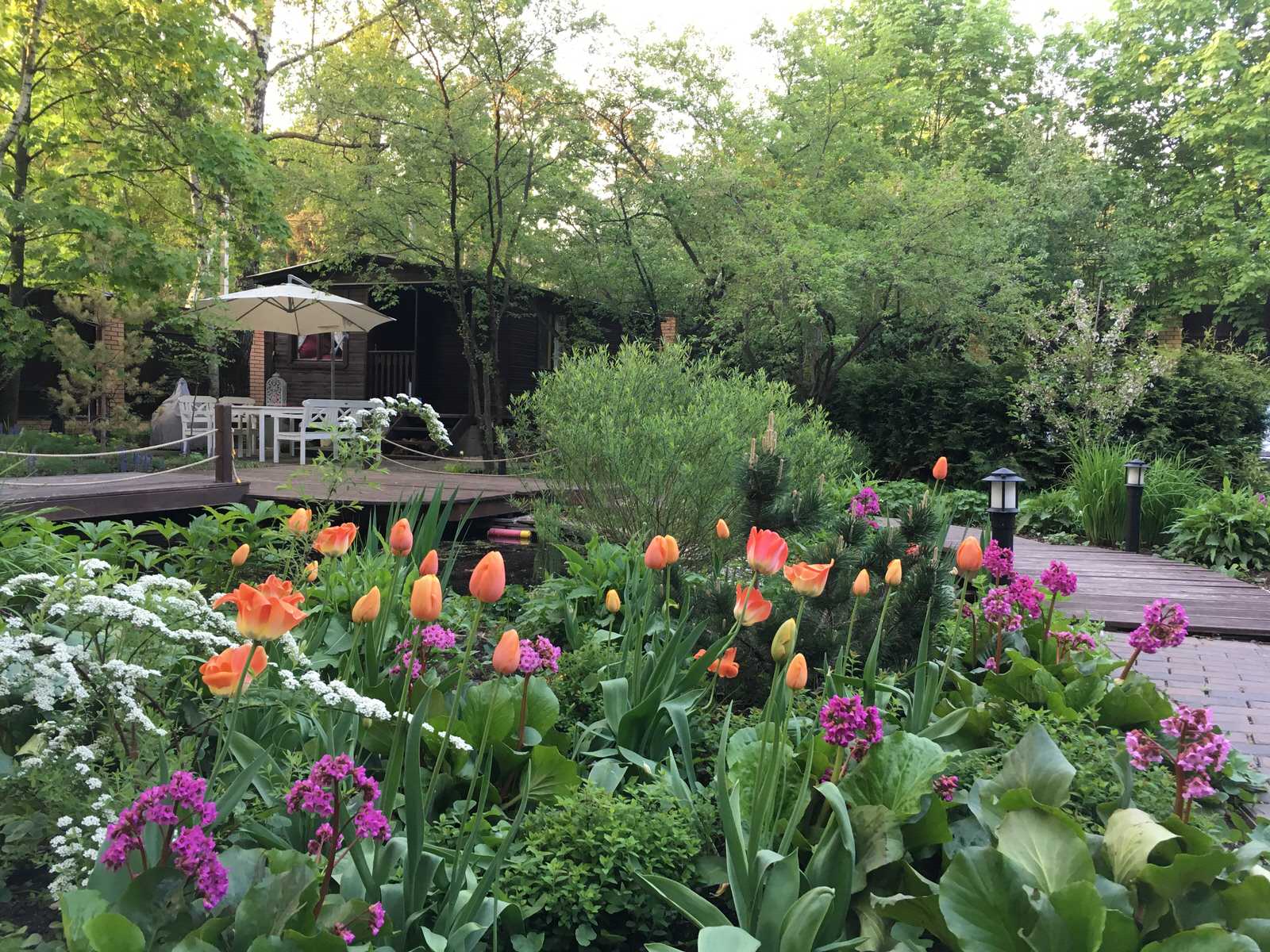 Белкин сад. Сад в стародачном поселке. Весна 2019