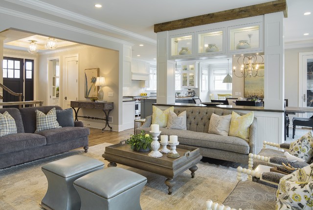 Minneapolis Transitional traditional-living-room