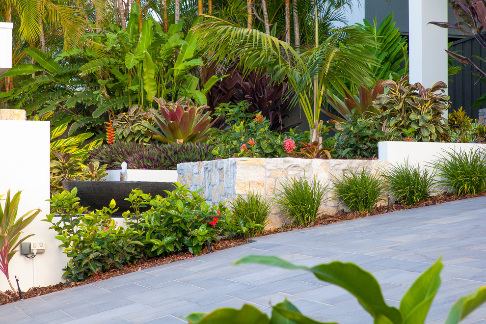 This is an example of a mid-sized tropical front yard garden in Brisbane with natural stone pavers.
