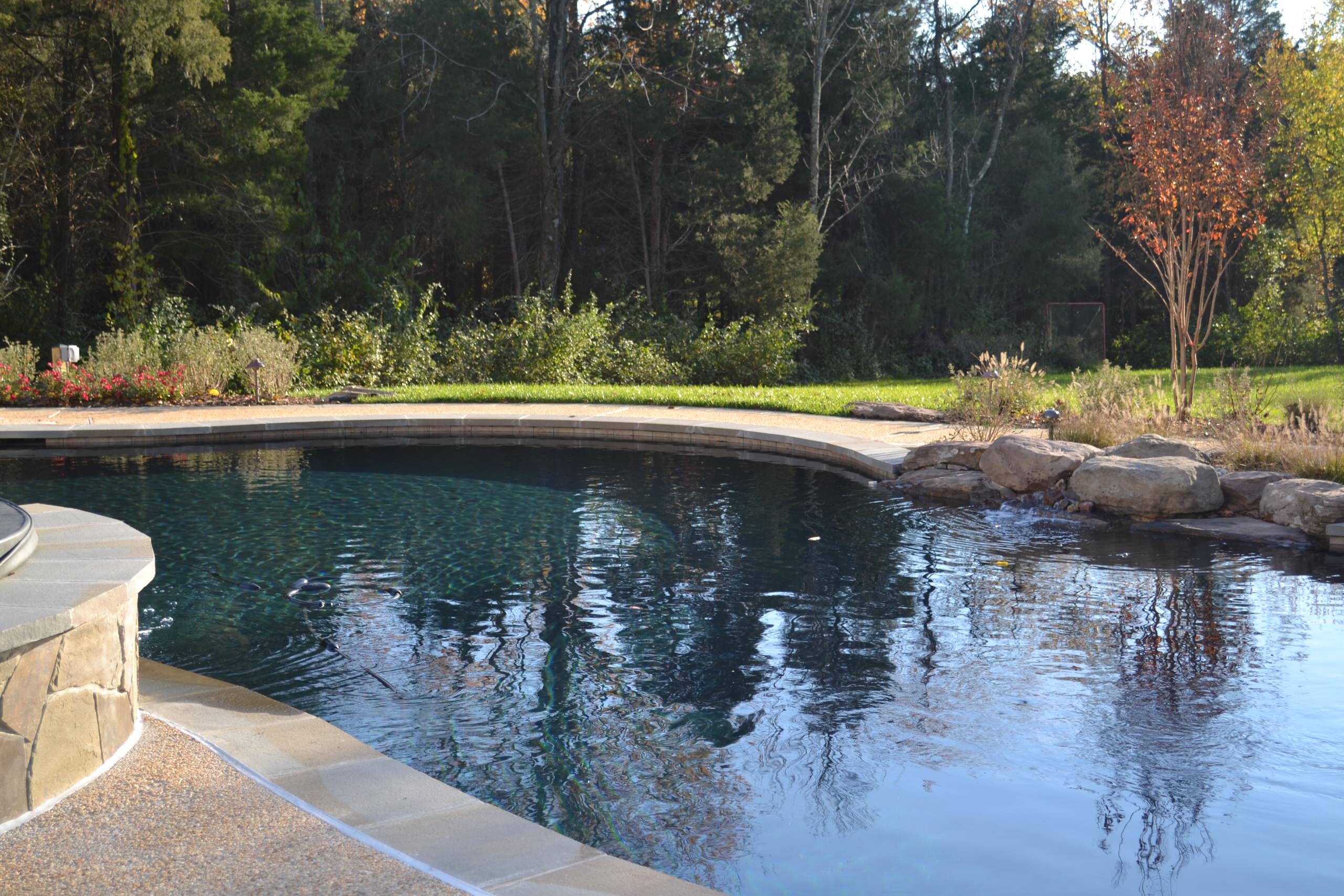 A Natural Pool