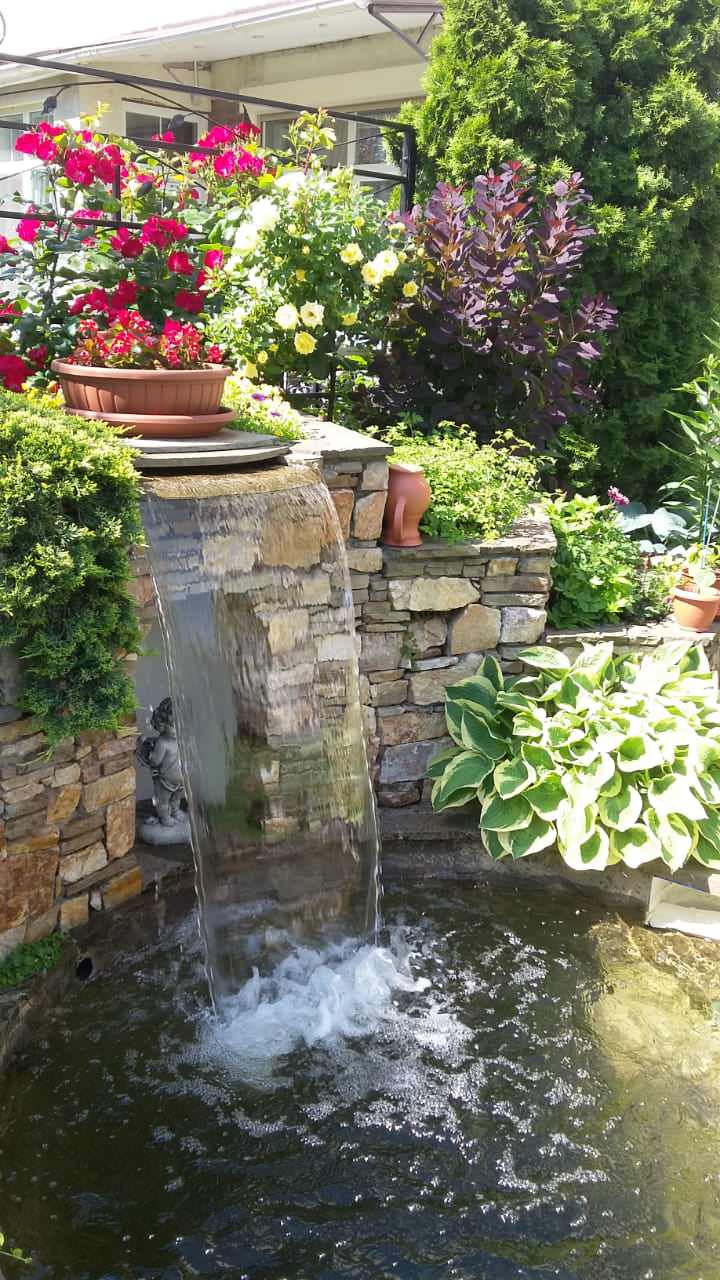 "Мечты о Провансе"