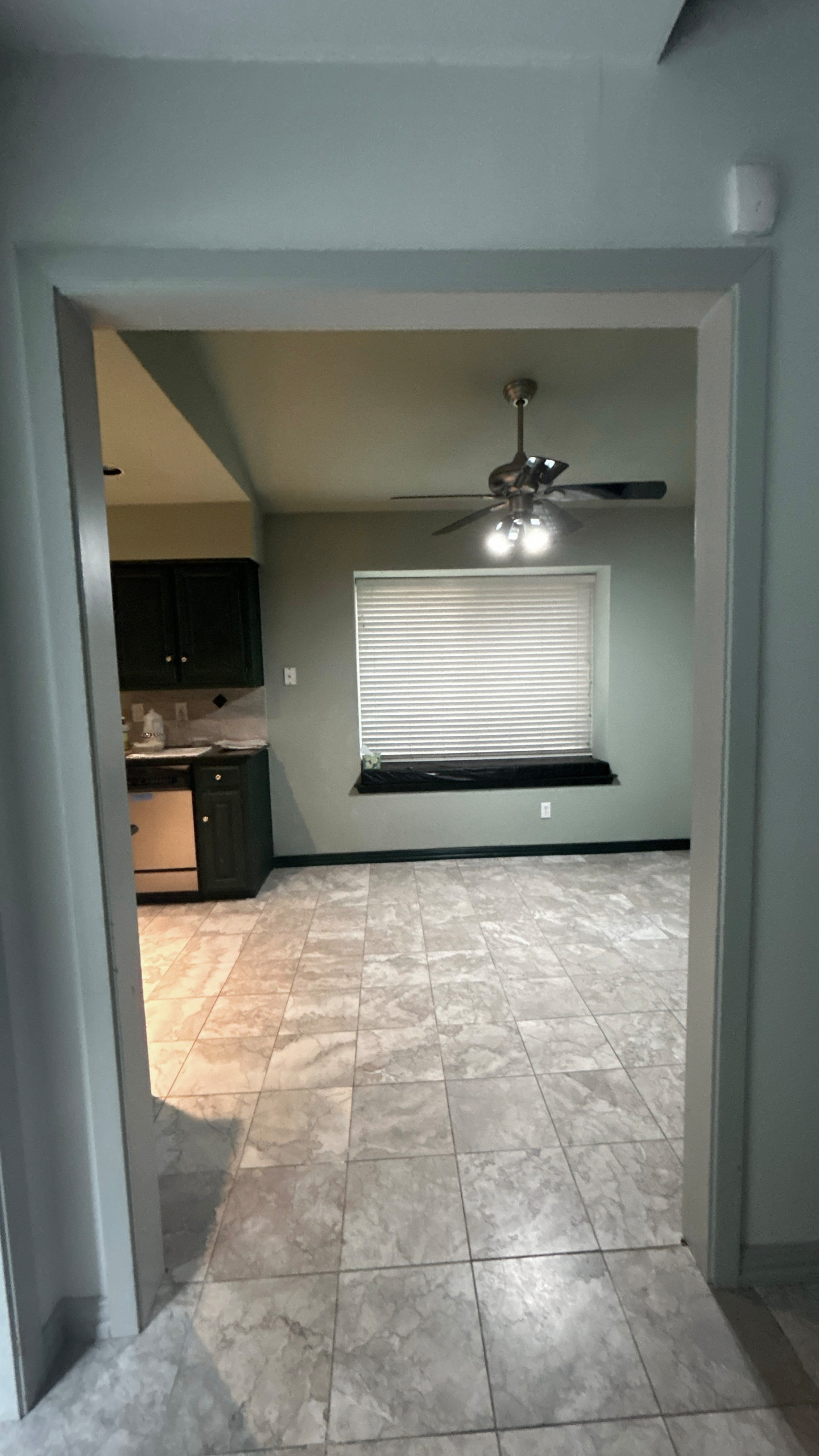 Dallas Kitchen Project