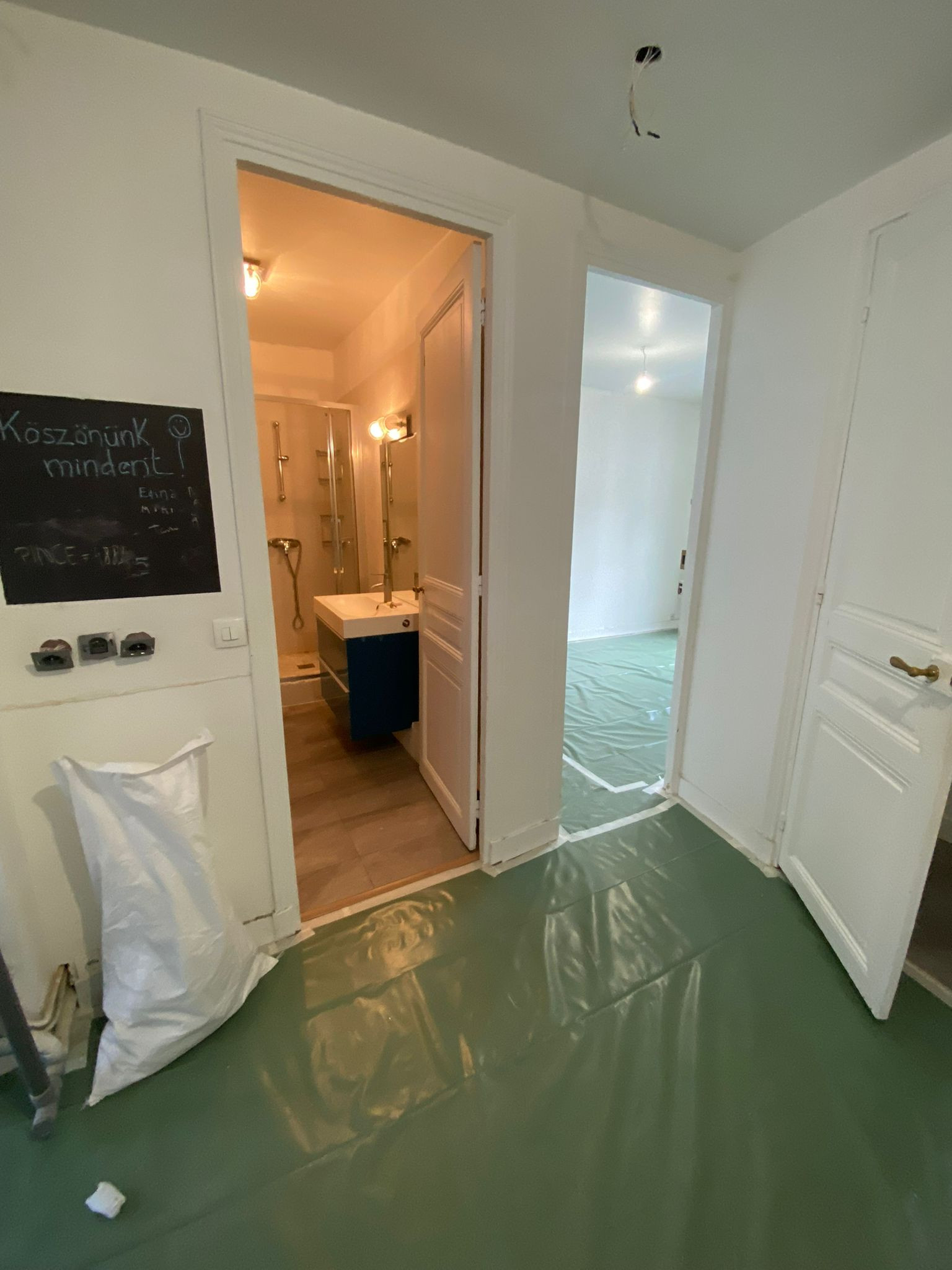 Projet Buttes Chaumont, rénovation d'un appartement de 60m2