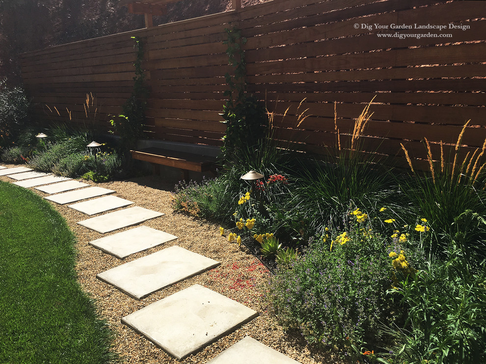 This is an example of a small contemporary backyard full sun xeriscape for summer in San Francisco with a garden path and concrete pavers.