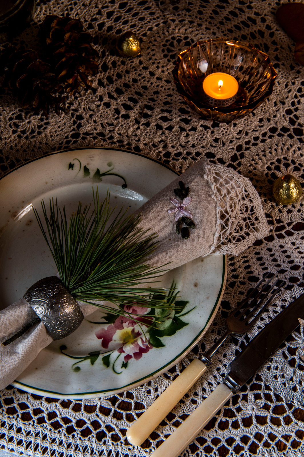 Женя Жданова Таруса, Сад Ракицкого