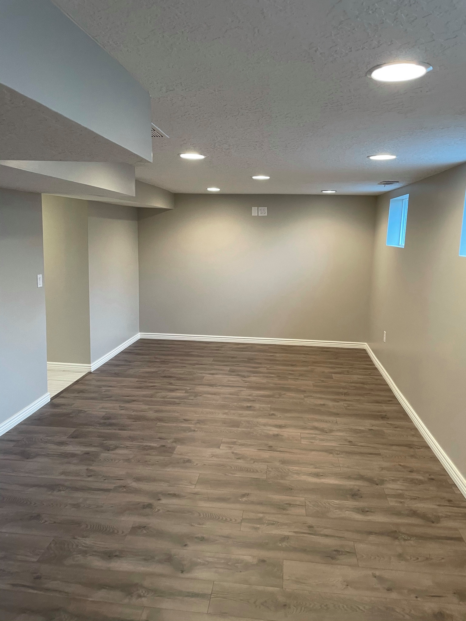 Basement Finish