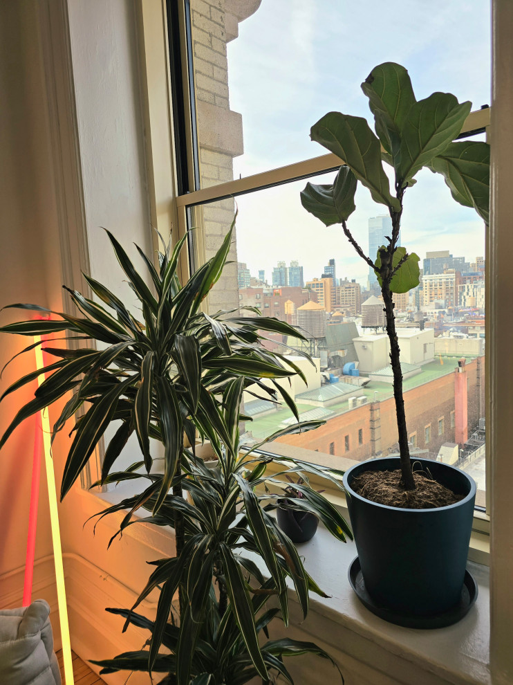 Soho tech office