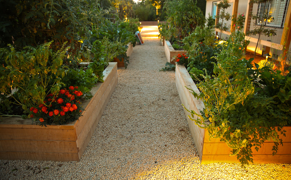 Inspiration for a mid-sized mediterranean backyard partial sun xeriscape in San Francisco with a container garden and gravel.