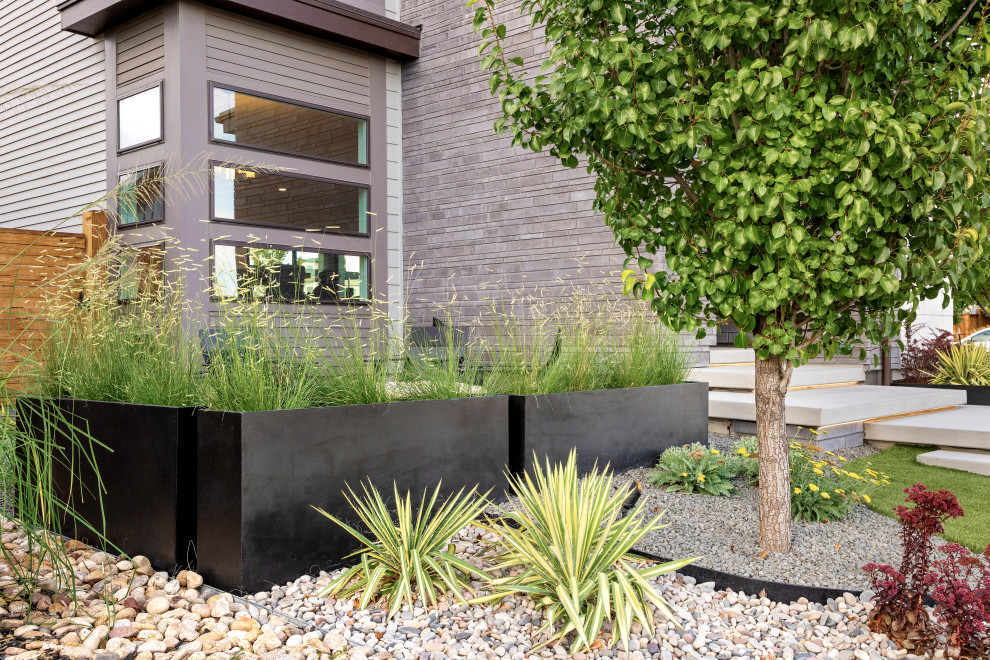 Outdoor Living Lounge