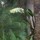 webuser_620820