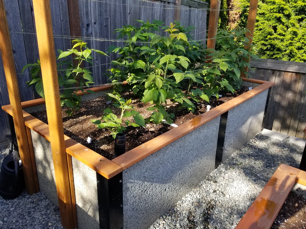 This is an example of a transitional backyard gravel landscaping.