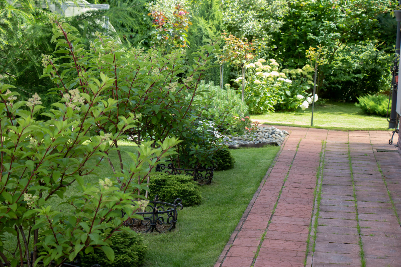 Французский садик в поселке Рыбаки Дмитровское шоссе