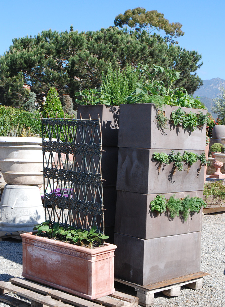 Edible Container Gardening