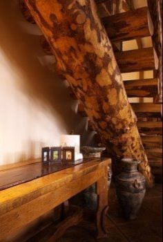 Example of a mountain style home design design in Orange County