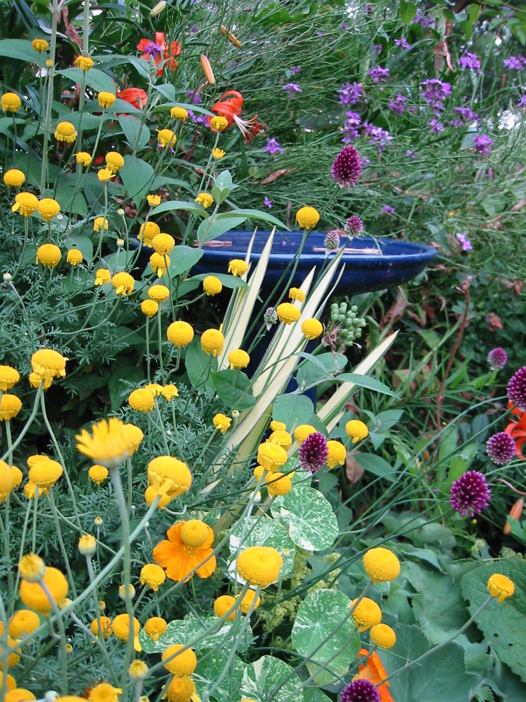 Medicinal Herb Garden - Mediterranean - Landscape - San ...