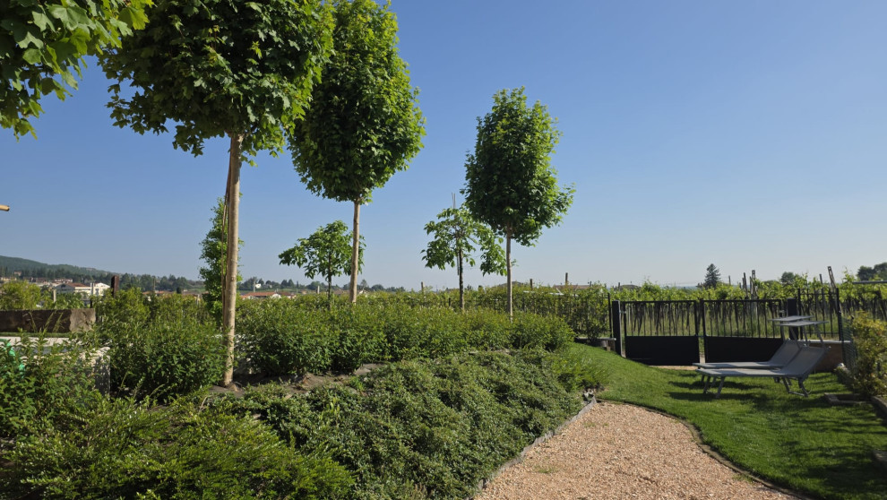 B&B tra i vigneti - Progetto concluso