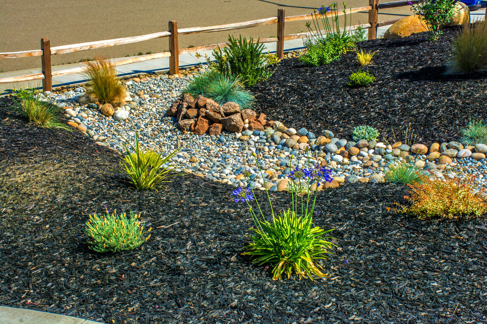 This is an example of a mid-sized country front yard full sun xeriscape in San Francisco with mulch.