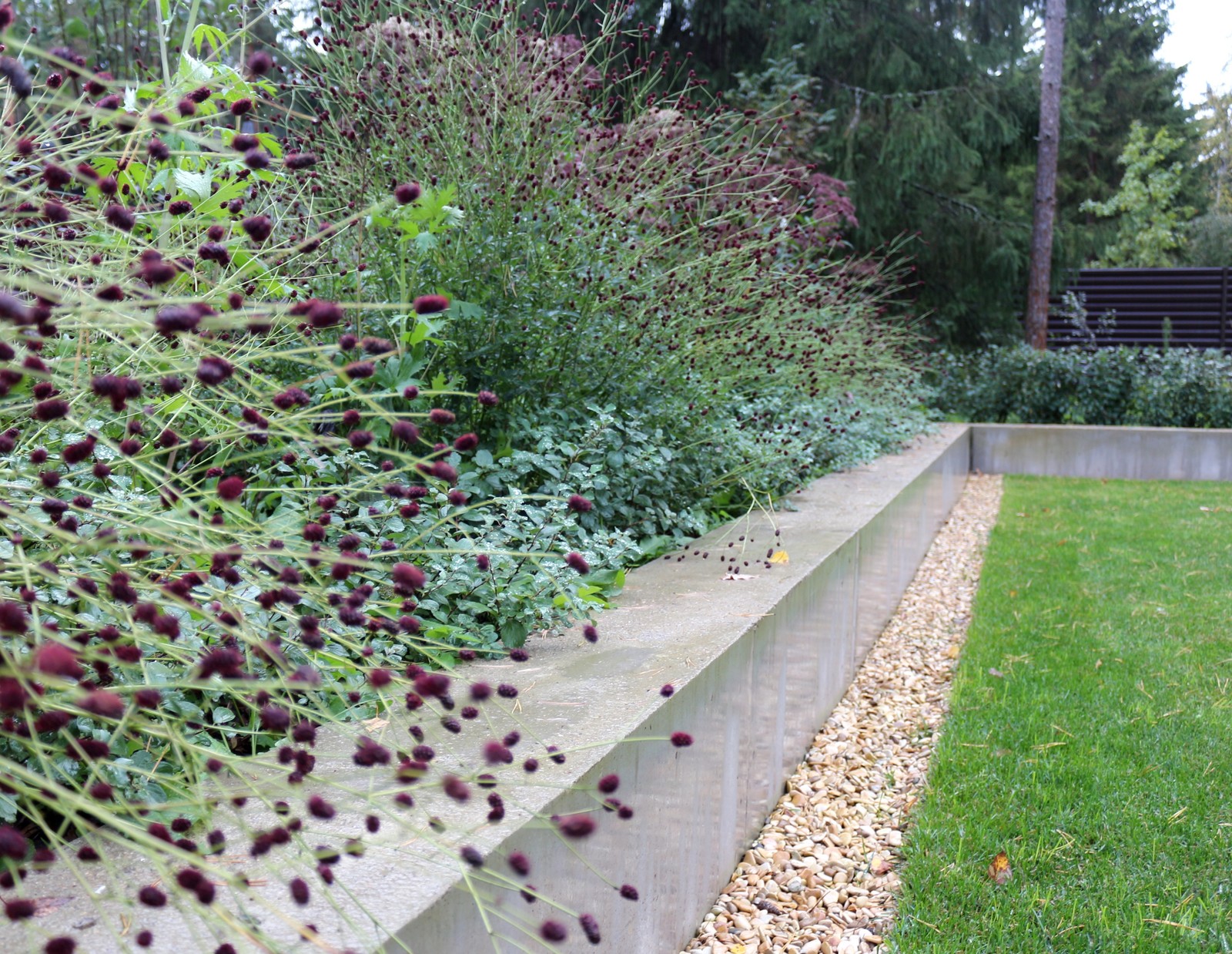 ДНП Ветеран