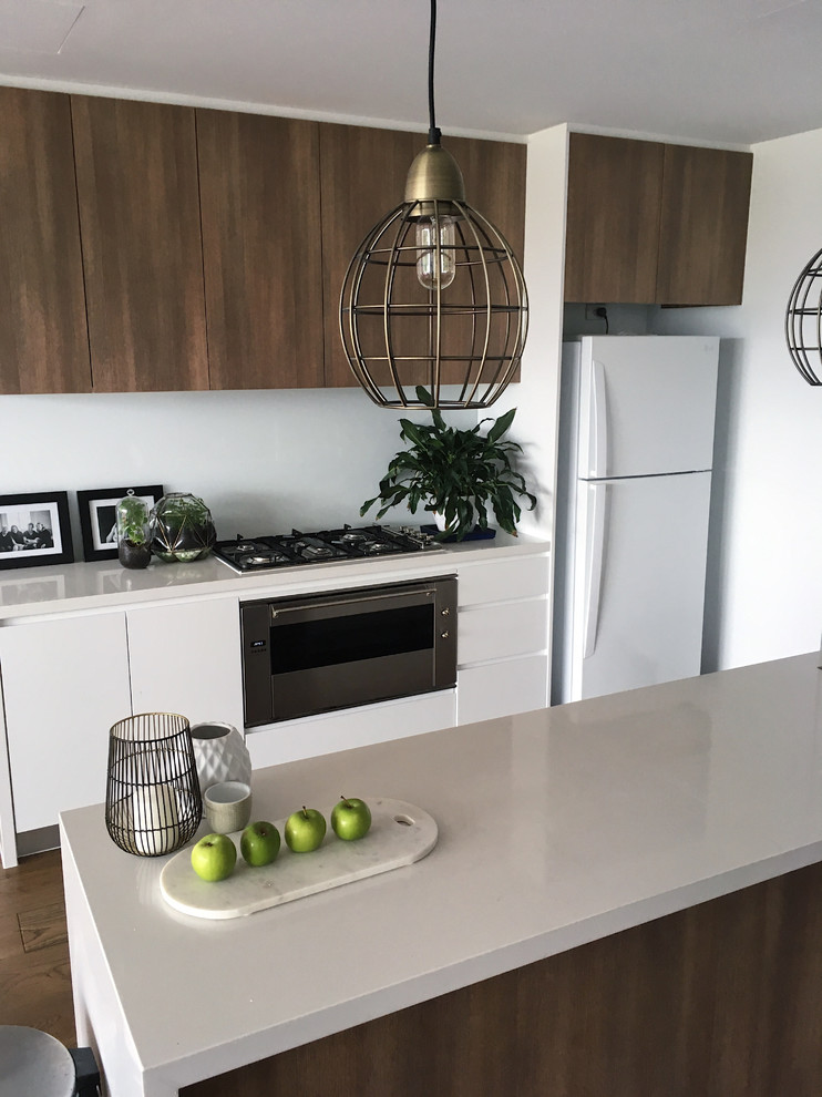 Inspiration for a modern u-shaped kitchen in Sydney.