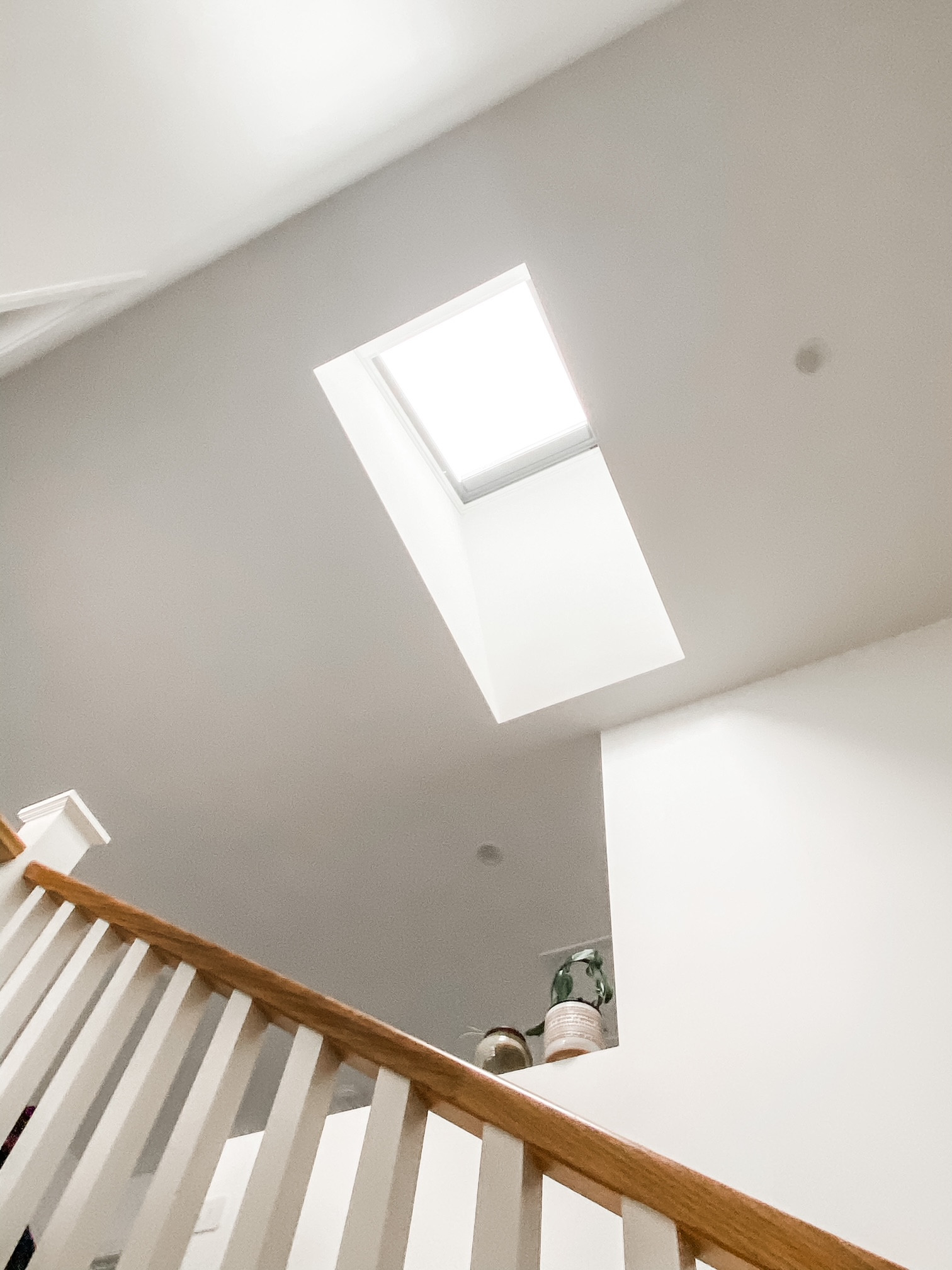 Blackburn North – Hampton-Inspired, Light-Filled & Energy Efficient