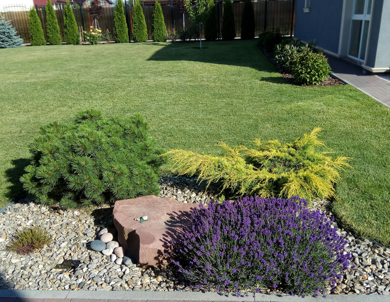 Подборка фотографий