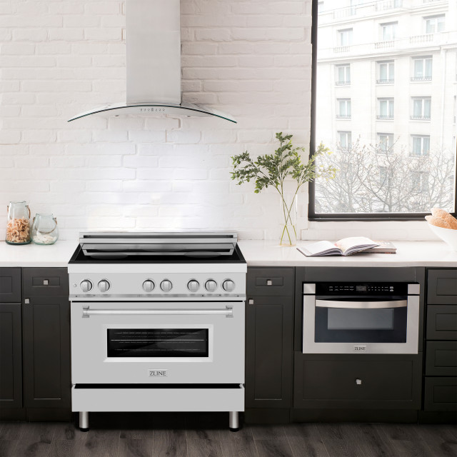 ZLINE 36 In. Professional Electric Range, Stainless Steel, RAIND-36 ...