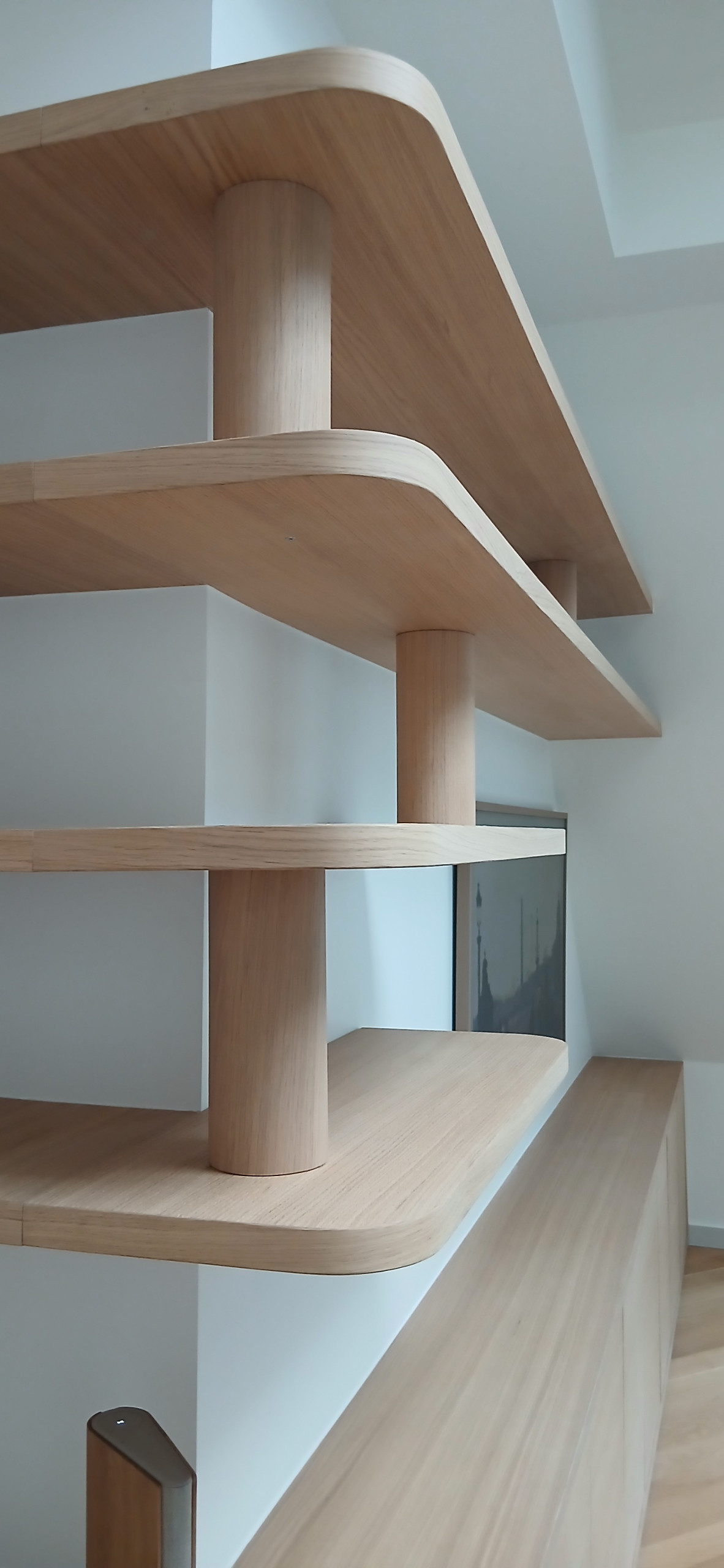 Bibliothèque suspendue et meuble TV