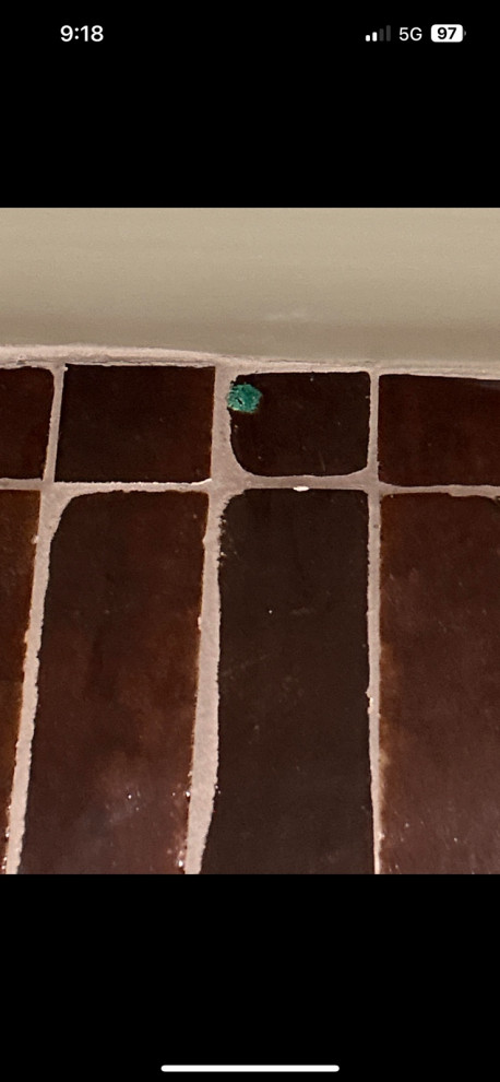 Weird Blue Green Stain On Tile Randomly Appeared weird-blue-green-stain-on-tile-randomly-appeared