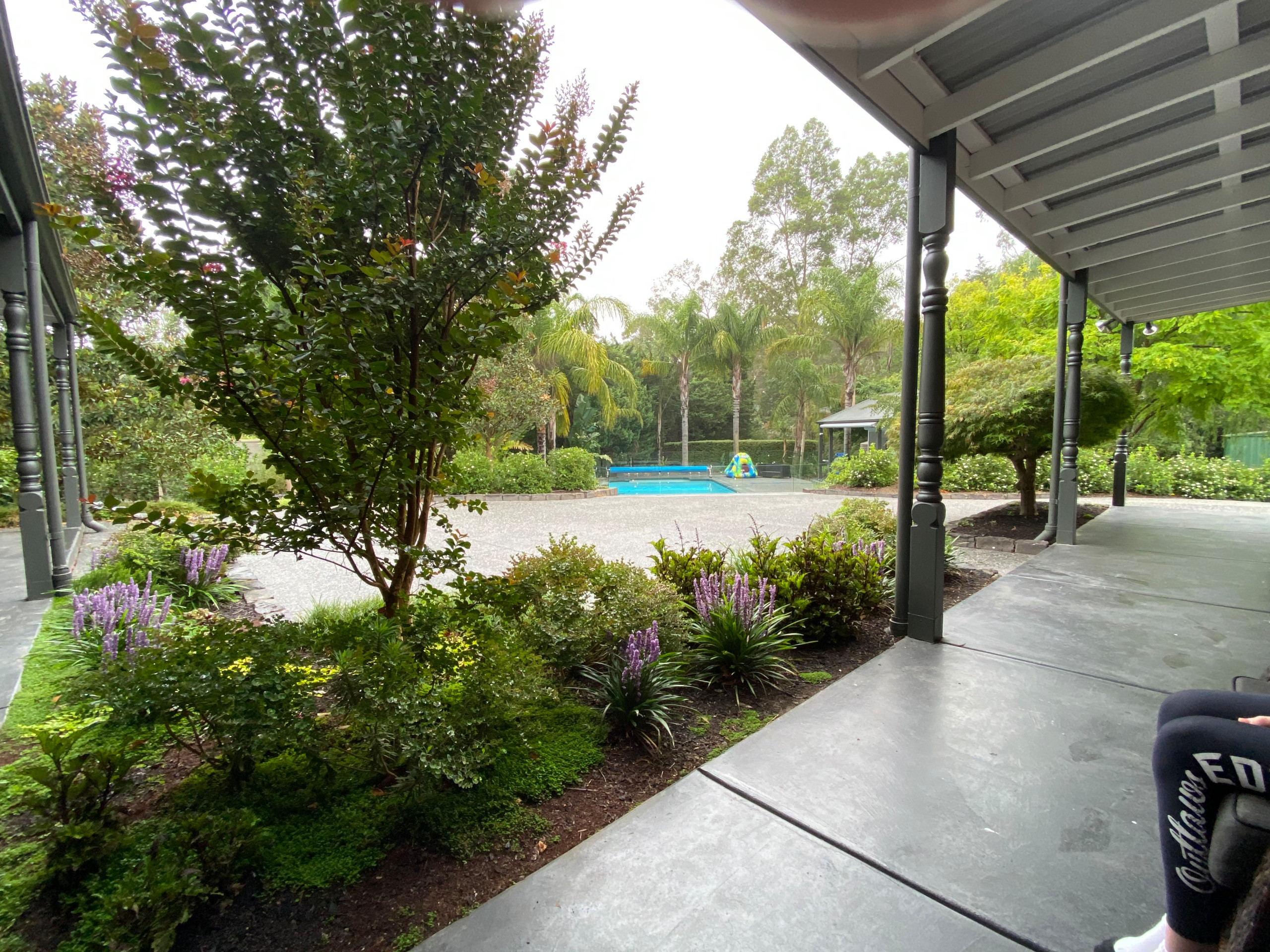Pool Design and Planting in Wonga Park