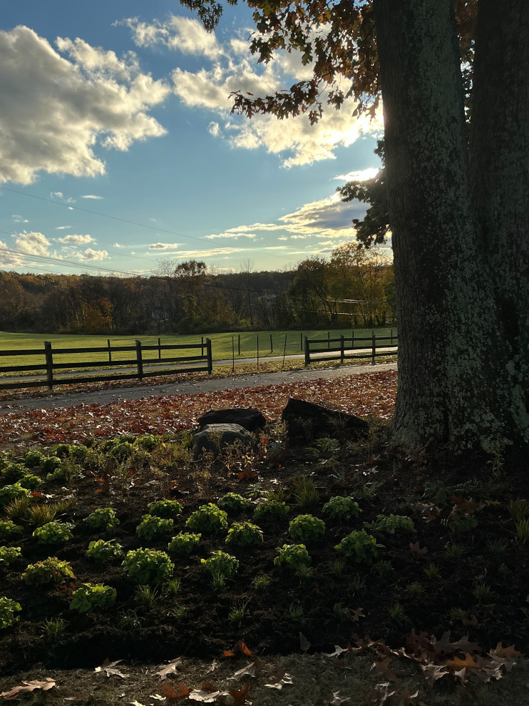 Impactful, serene and native entrance.