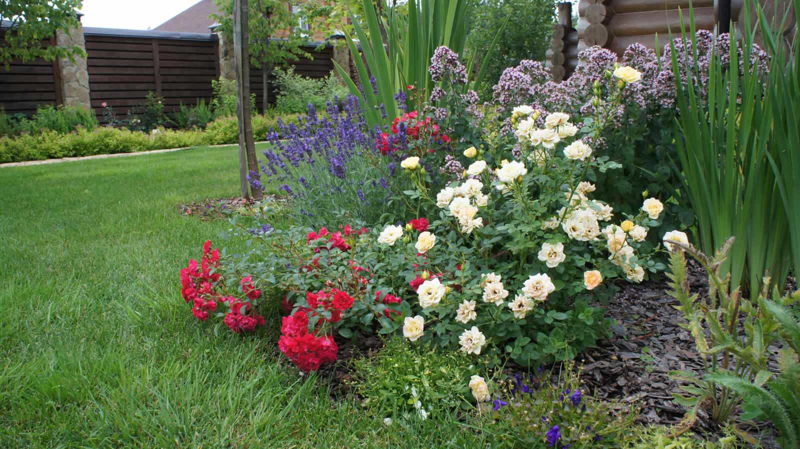 Прохорово лето 2017