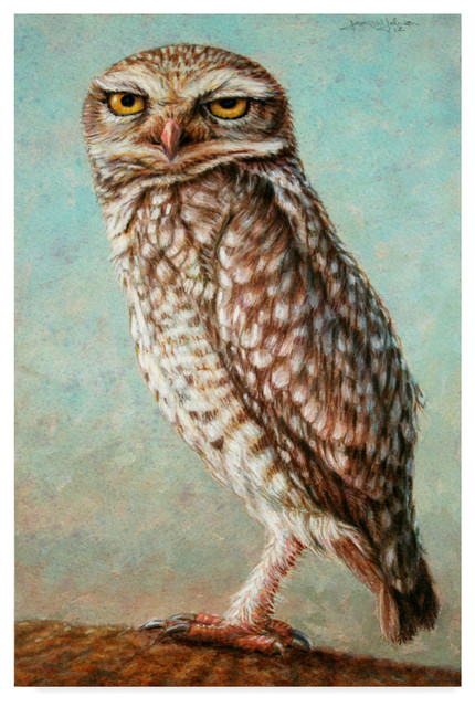 Global GalleryDaphne Brissonnet Beautiful Owls II Giclee Stretched Canvas Artwork 24 x 24 