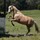linda_philpott1566