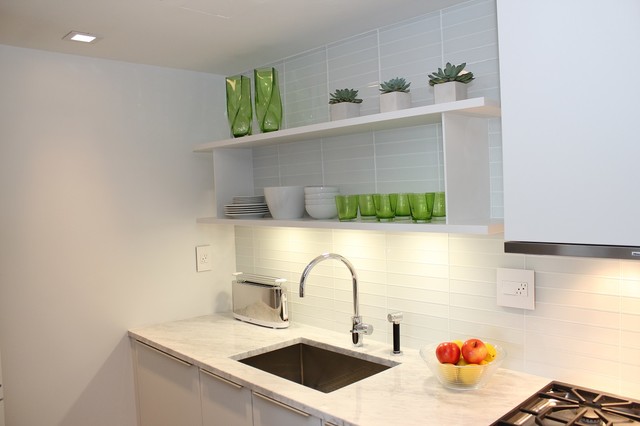 White Galley Kitchen trendy-koekken