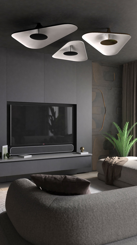 проект кухни-гостинной