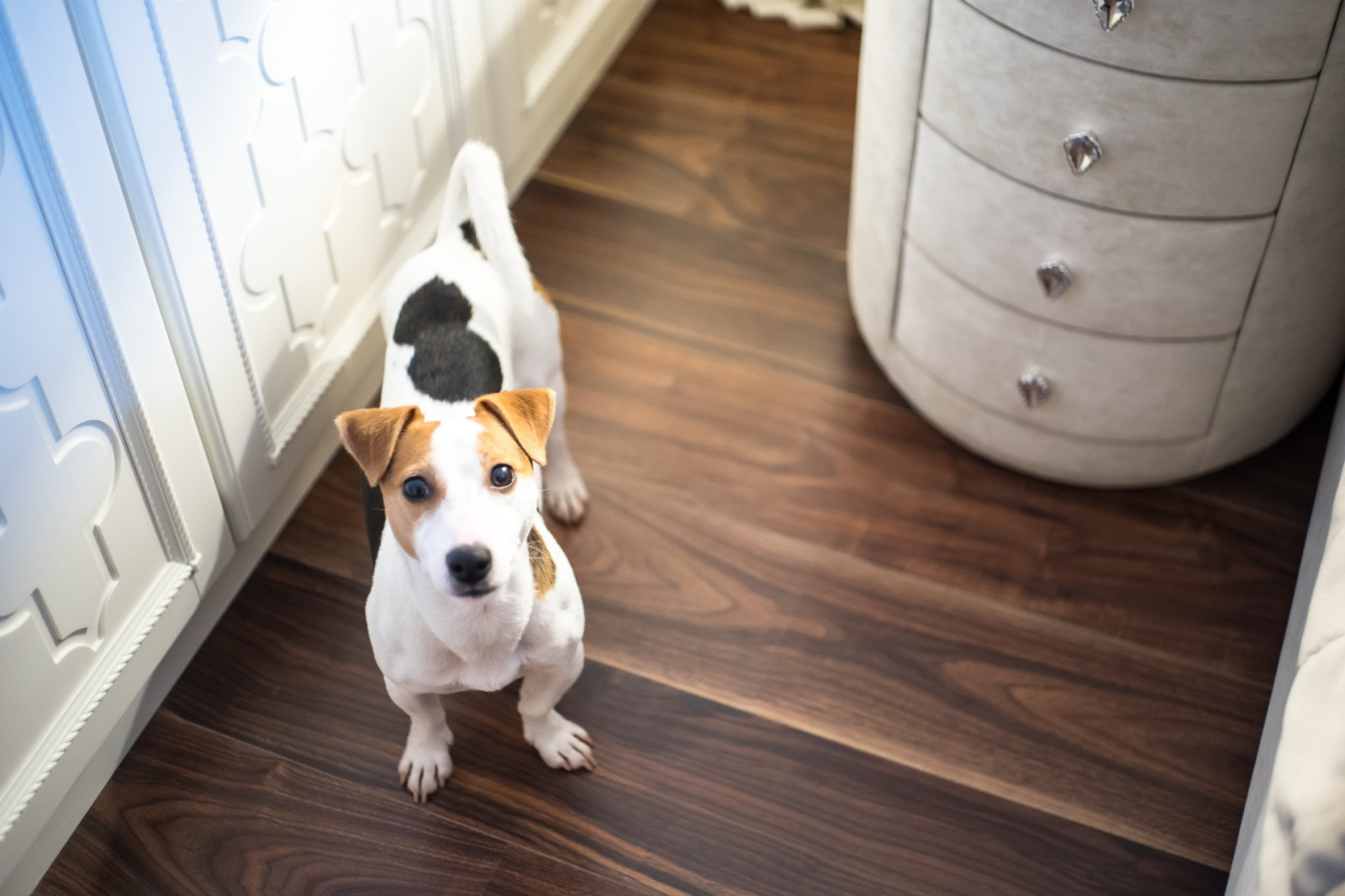 Карамышевская