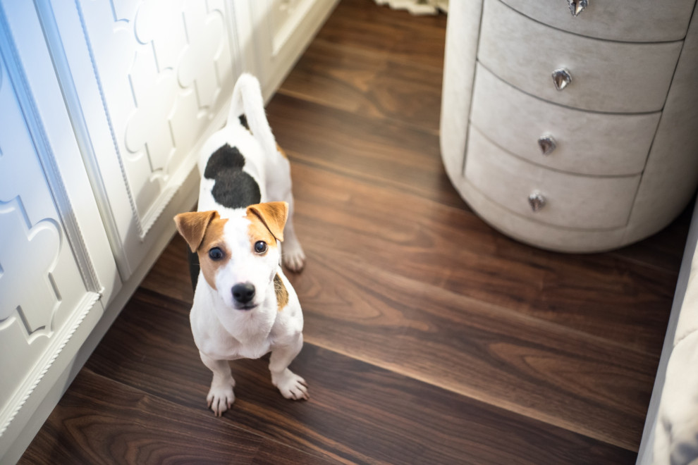 Карамышевская