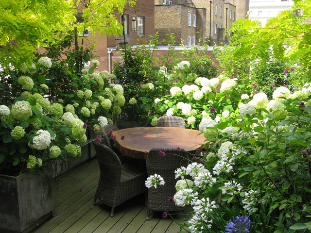 How Can I Create A Garden On A Balcony Or Roof Terrace Houzz Ie