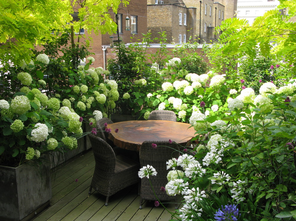 Photo of a contemporary roof full sun garden for summer in London.