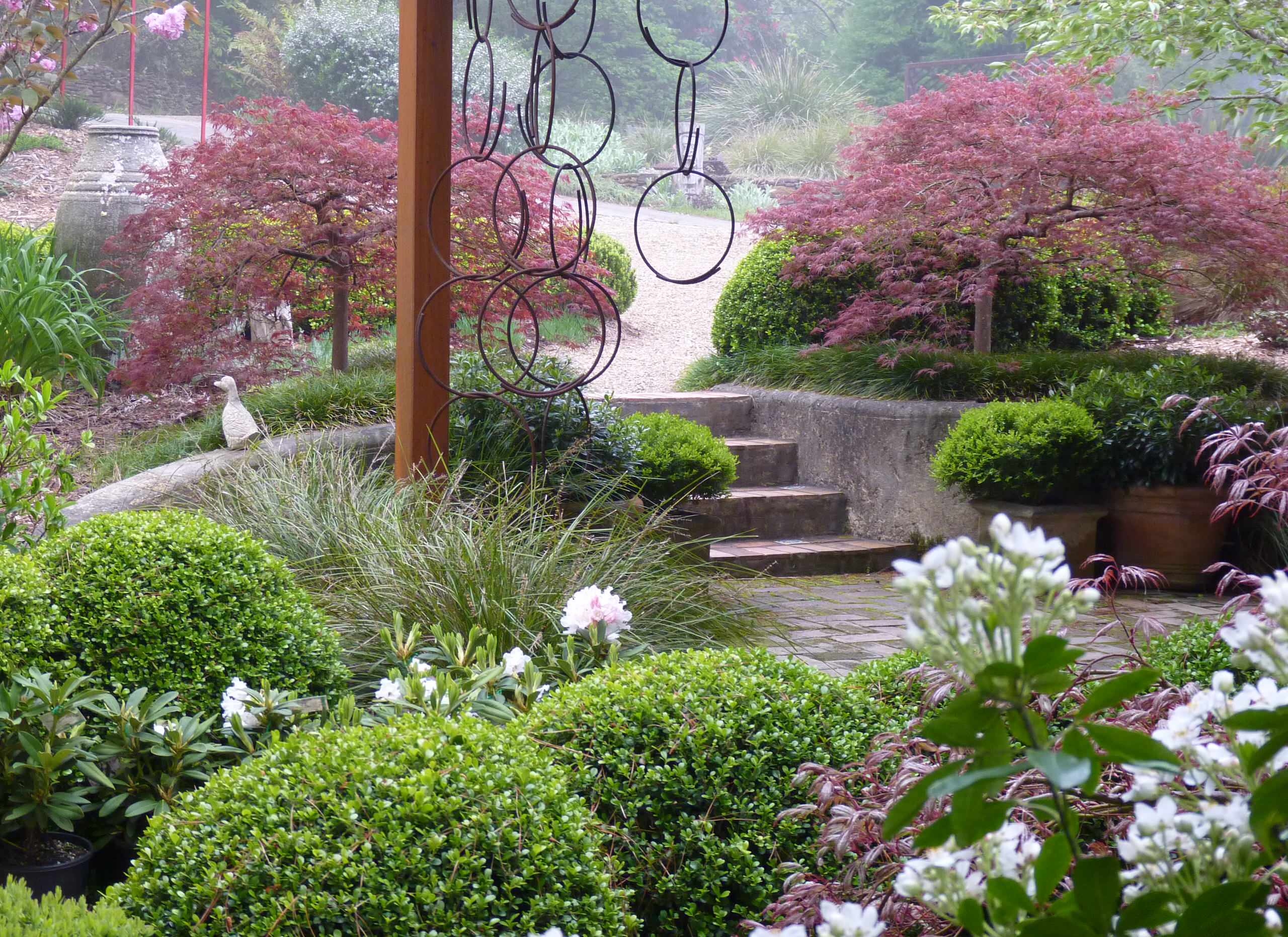 Japanese Maple Garden - Photos \u0026 Ideas | Houzz, image size:2560x1862