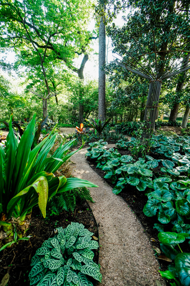Ispirazione per un giardino formale tropicale esposto a mezz'ombra di medie dimensioni e dietro casa in primavera con un ingresso o sentiero e pavimentazioni in mattoni