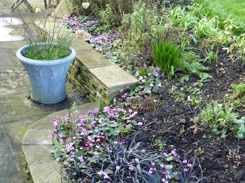Design ideas for a country garden for winter in Oxfordshire with a retaining wall.