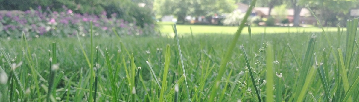 Lawncare By Walter Inc Cherry Valley Il Us 61016