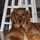 Last commented by Anne Graceygolden