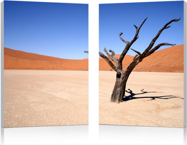 Desert Solitude - Multi