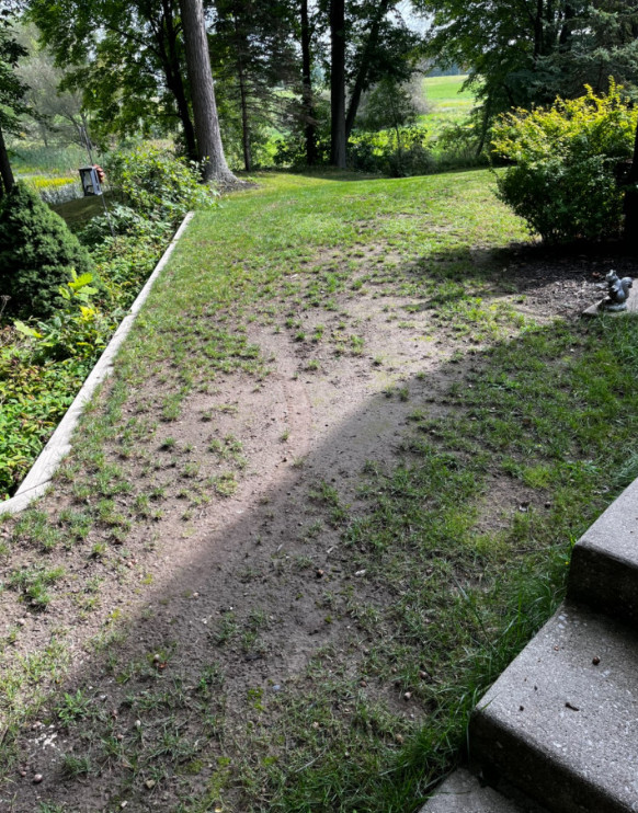 Before/After