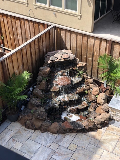 David Shawn Taylor (DSTscaping)