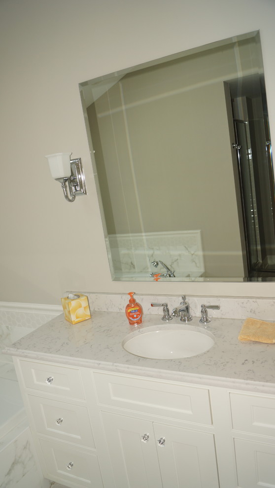 Transitional home design photo in Chicago