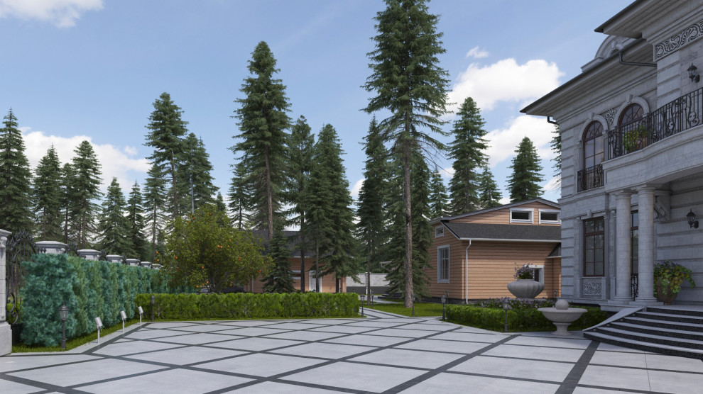 Лесной простор