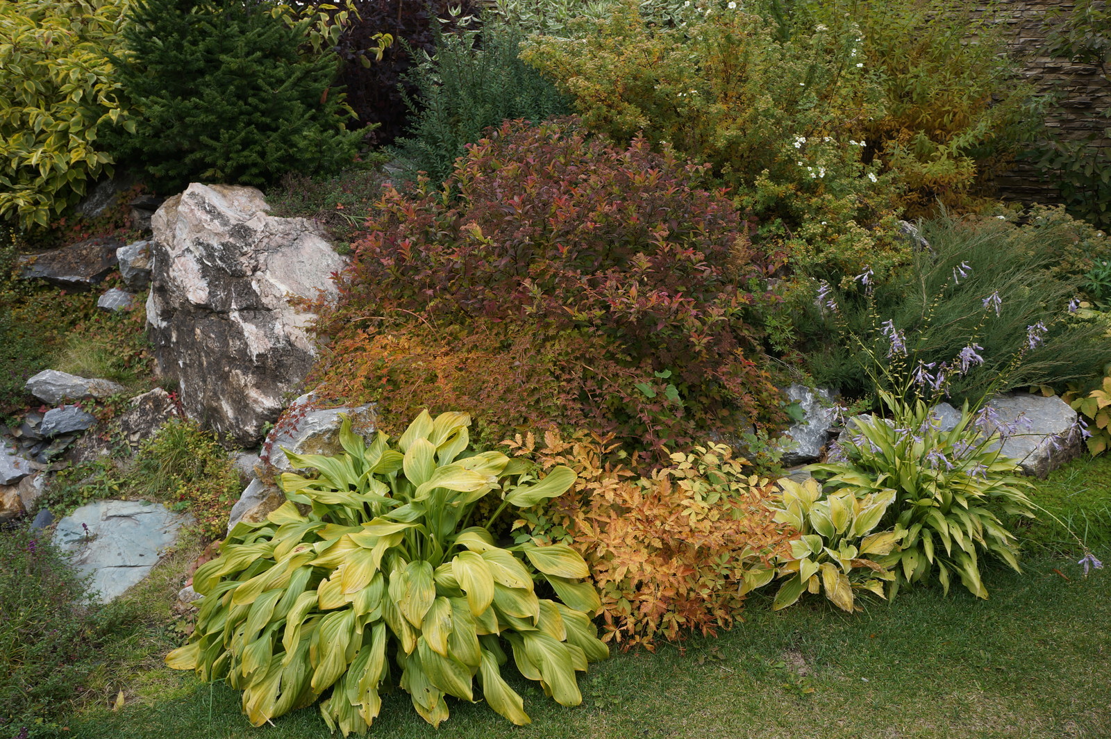 Ясная  поляна